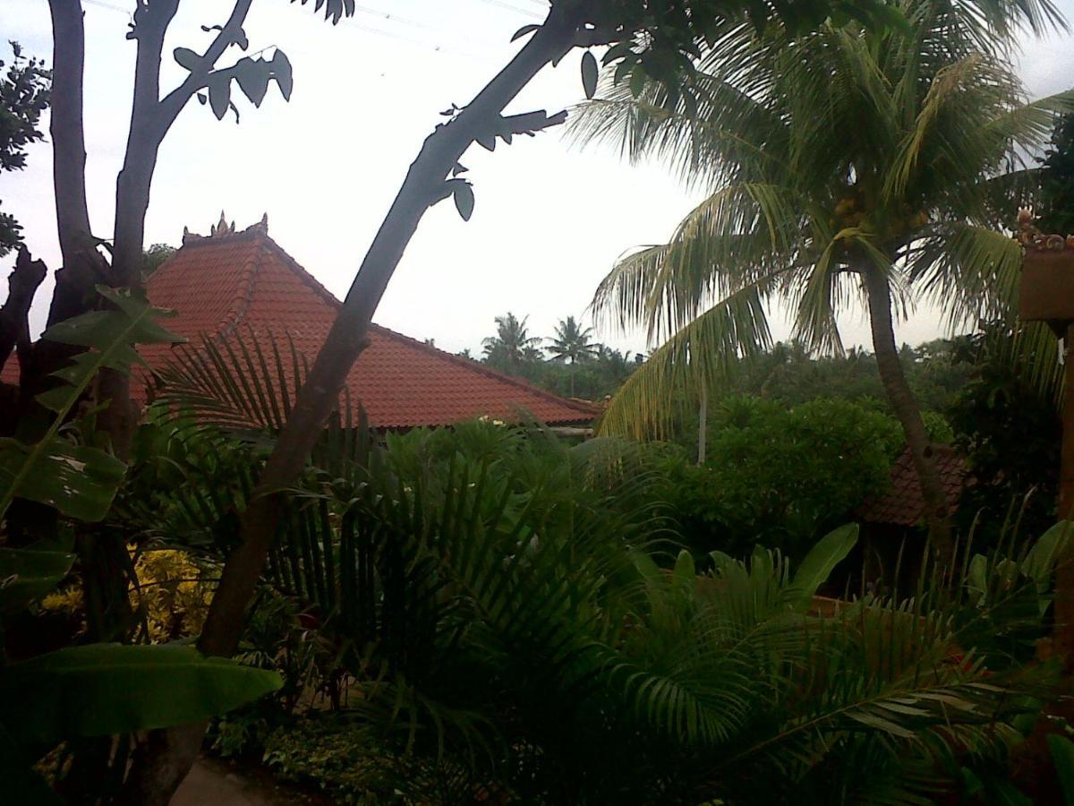 Eliska Sari Bungalows Sumberkima Pemuteran Exteriör bild